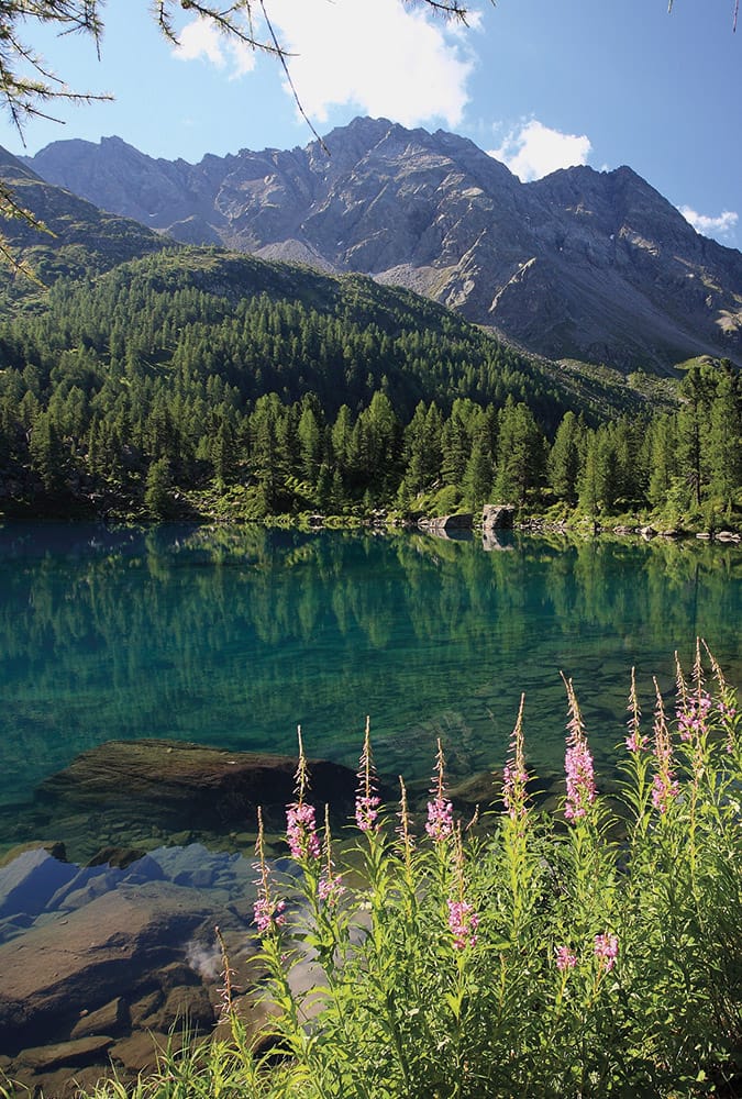 Val di Campo