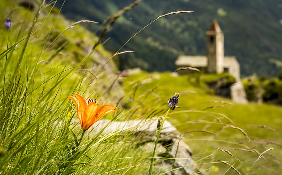 La Romantica Poschiavo - escursioni con Romeo Lardi