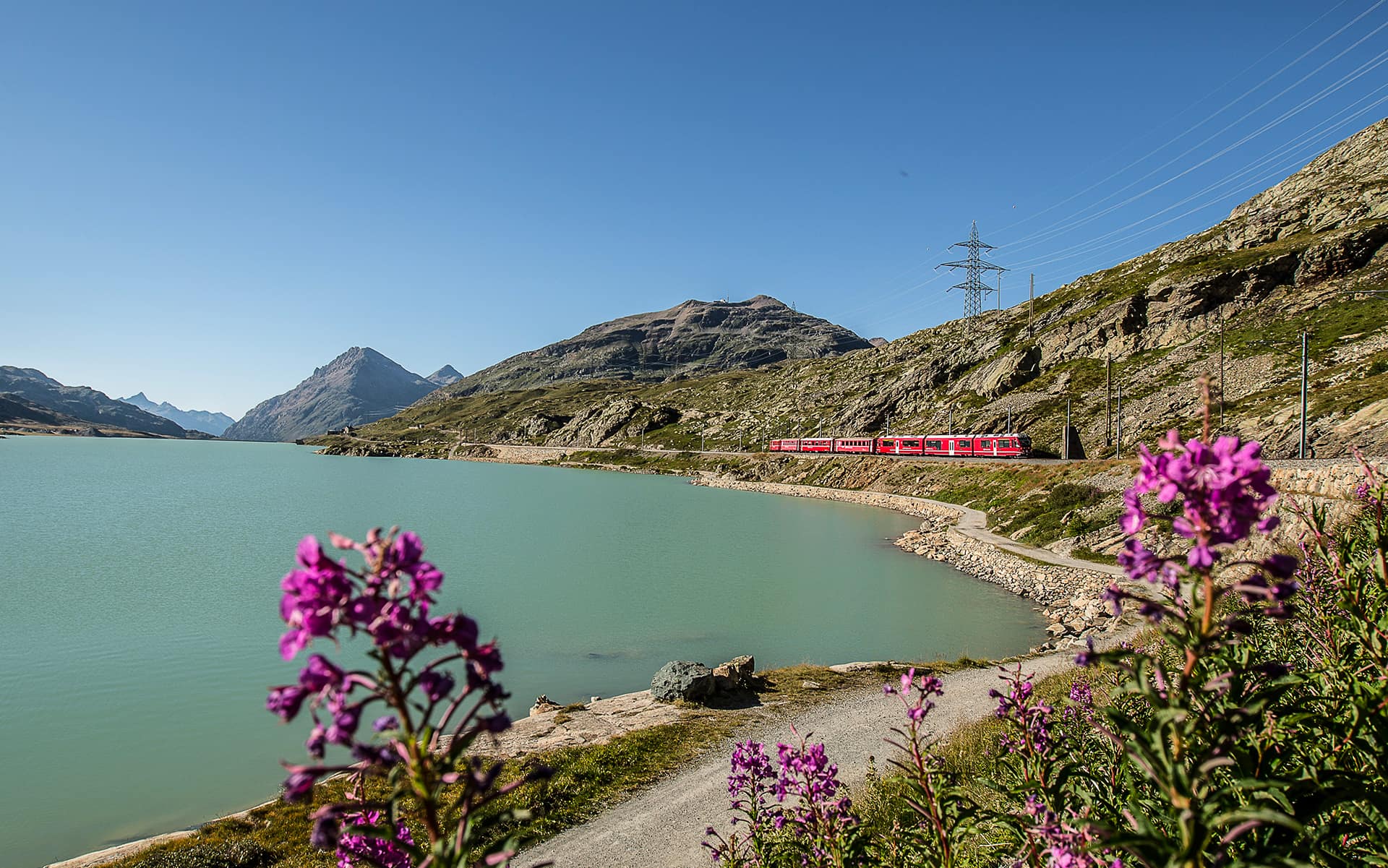 Offerta - Trenino Rosso Gratuito